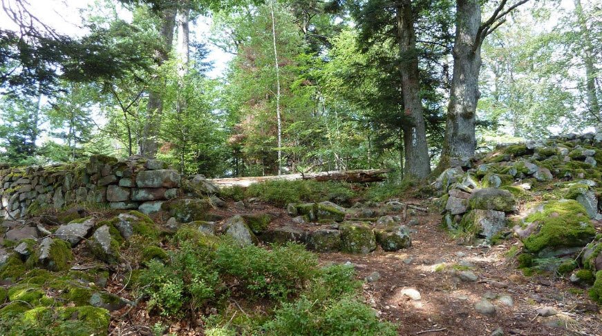 Château du Petit-Ringelstein, Oberhaslach, France